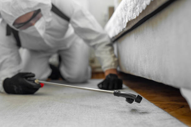 Professional Cockroach Control technician working in Colmar Manor, MD